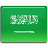 SAUDI